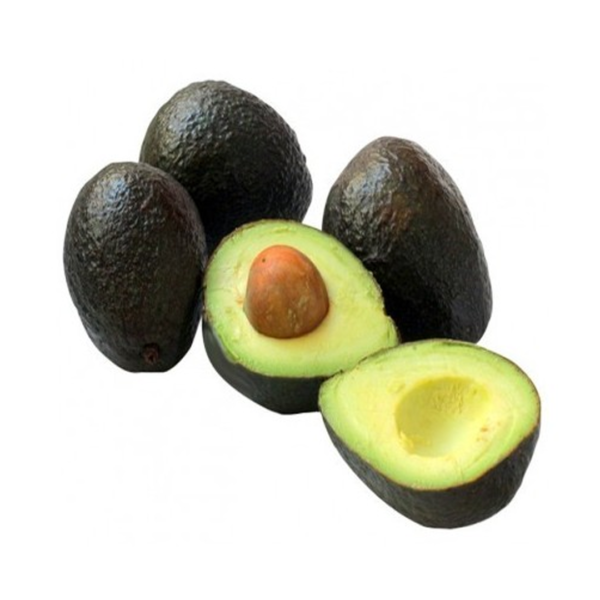 aguacate-has-organico-guatemala