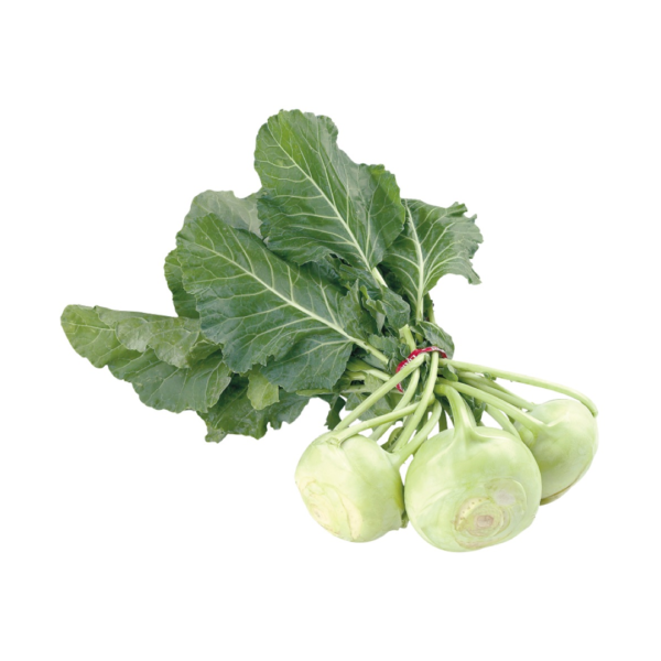 kohlrabi-organico-guatemala